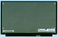 ������� N133HCE-GP2
