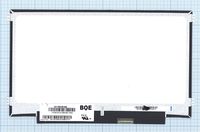 ������� NV116WHM-N45