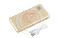 ������������ ����������� �������� ���������� (Power Bank) Gxtech 10000mAh (�������)