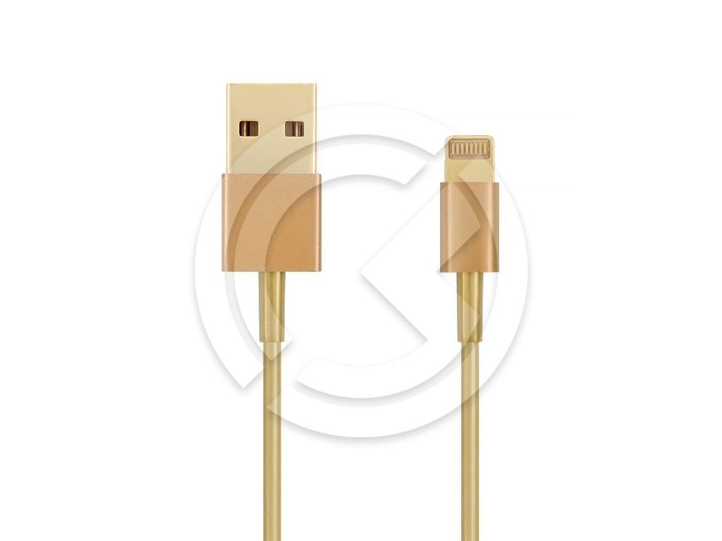 ������ USB ��� iPhone 5/6/7 Lightning ������� (��������� IOS10)