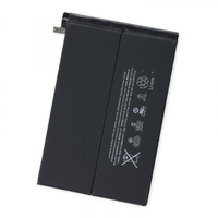 ����������� ���  iPad mini 2/mini 3, ����