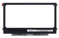 ������� NT116WHM-N31